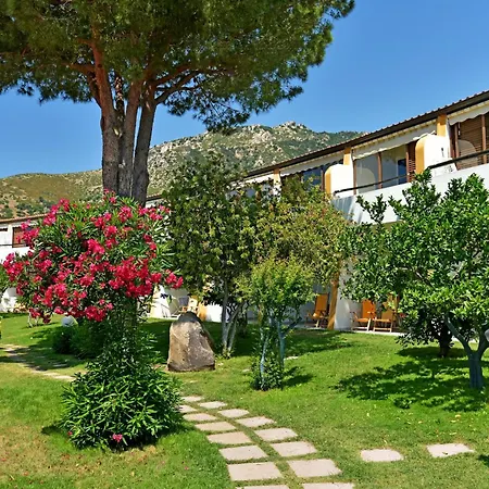 Cormoran Villasimius