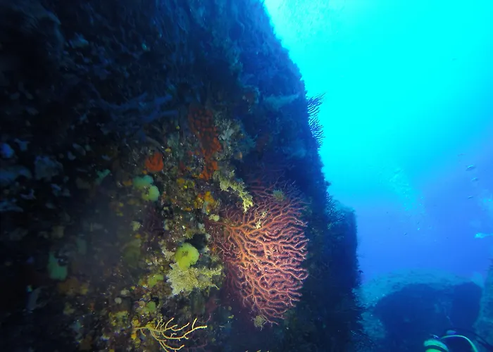 Cormoran Apartahotel