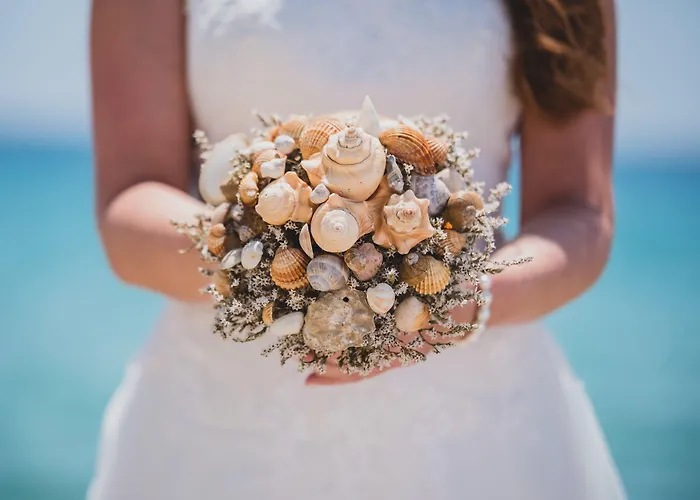 Cormoran Apartahotel 4*