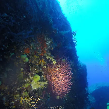 Cormoran Hotel apartamentowy