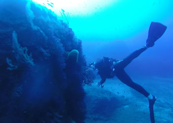 Cormoran Villasimius